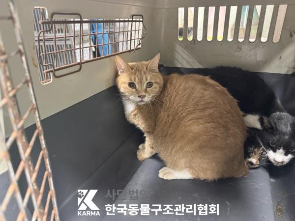 한국동물구조관리협회_411316202500219
